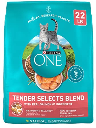 Purina ONE Natural Dry Cat Food, Tender Selects Blend with Real Salmon - 22 lb. Bag