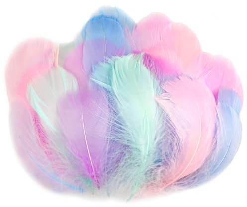 AOOTE 100pcs Feathers for Crafts,6-12cm Feathers Bulk,Vibrant Coloured Feathers,Natural Goose Feathers,Decorative Feathers Set for DIY Dream Catcher,Gift Box Filling,Wedding,Party Decorations Supplies