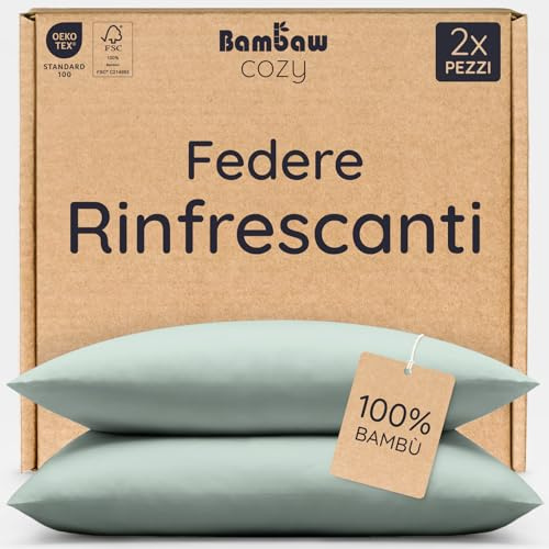 Bambaw Taie d'oreiller en Bambou 65x65 cm, Lot de 2, Taie Oreiller Anti Acariens et Respirante, Drap en Bambou, Bon pour Les Cheveux et Le Visage, Drap Fraicheur Hypoallergénique (Vert d'eau)