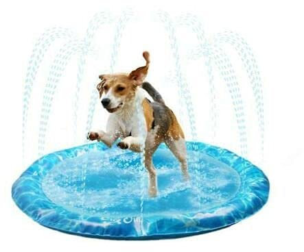 Keep Dogs Cool In Hot Weather Sprinkler Fun Mat Medium 100 x 100cm