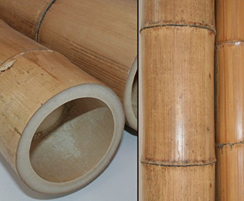 bambus-discount.com Moso Bambusrohr gelbbraun mit Durchmesser von 14 bis 16cm, Länge 590cm, hitzebehandelt