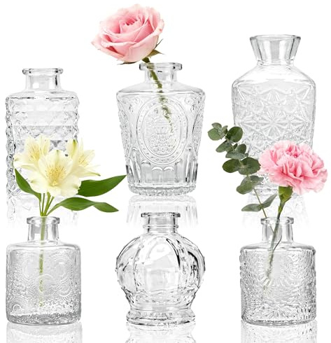 BTSD-home Glass Bud Vases Set of 6, Small Vases for Flowers, for Table Decorations, Wedding Decor and Home Decor