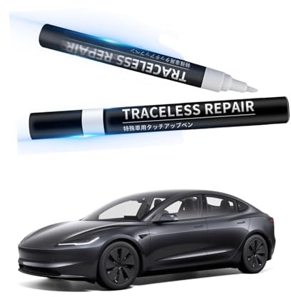 Ywooon Vernice per Ritocco per Tesla Model Y 3 X S Kit di Riparazione Vernice Punta della Penna e Pennello 2 in 1 Vernice per Auto Rim riparazione (Midnight Silver-PMNG)