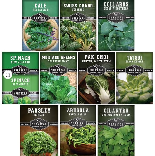 10 Power Greens Seed Collection – Heirloom Collards, Mustard, Swiss Chard, Spinach, Kale, Tatsoi, Pak Choi & More for Fall & Spring Planting | Survival Garden Seeds