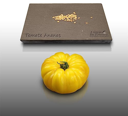 50 graines à semer - Le Grenier d'Abondance - TOMATE Ananas - Gout Incomparable