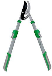 Coupe-branche manche telescopique