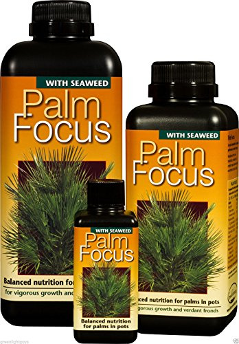 palm focus 100ml growth technology