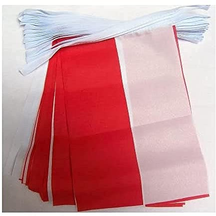 AZ FLAG - Guirlande Drapeau Pologne - 6 Mètres Avec 20 Fanions Polonais De 21x14 cm - Petits Drapeaux 100% Polyester - 60g