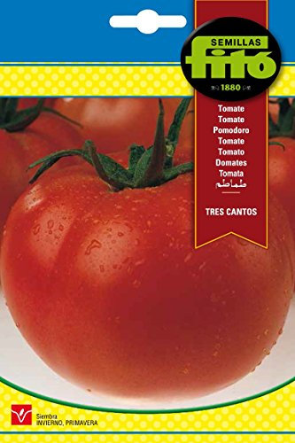 Semillas Fitó 293 - Semillas de Tomate Tres Cantos