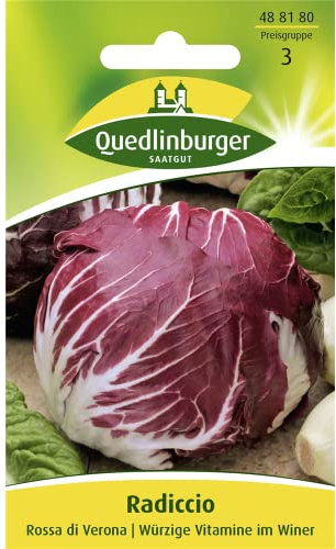 Radicchio, Rossa di Verona