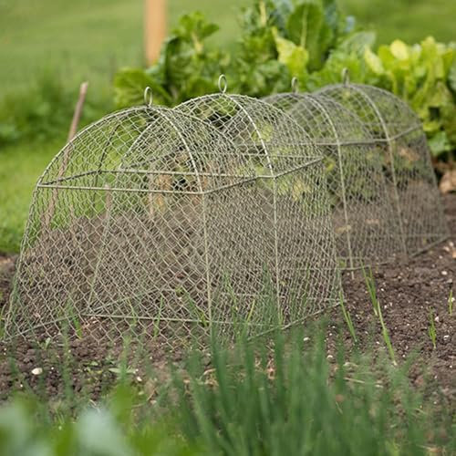 Crocus Collection 47.5cm Wire Mesh Cloche Plant Protector Cover Black Metal Garden Cloche Dome for Plants Animal Protection