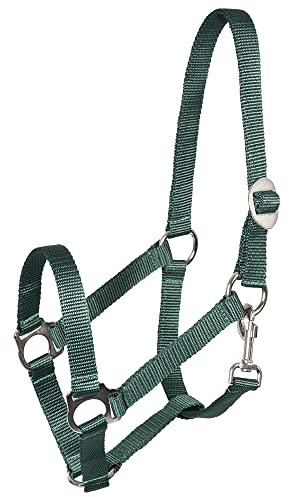 Pfiff 005543 Halfter, Weidehalfter Stallhalfter, Kunststoff Grün Full Warmblut