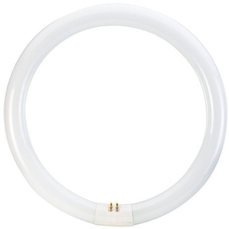 Tubo fluorescente circular trifósforo 22W T9 230V 6500K 1200Lm. Ref. 216-4-179