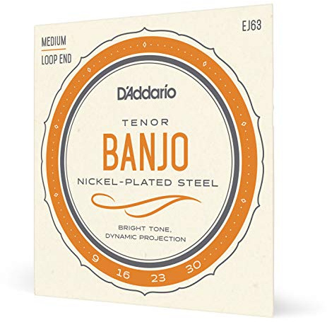 D'addario EJ63 Tenor 4 String Banjo