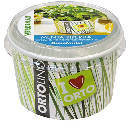 Verdemax Kit Menthe poivrée Ortolino 2025 - Blanc/Vert