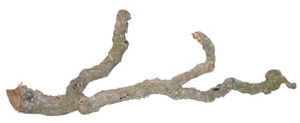 Lucky Reptile 64138 Tronchos korkast 90–120 cm