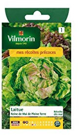 Vilmorin - Sachet graines Laitue Reine de Mai de pleine terre