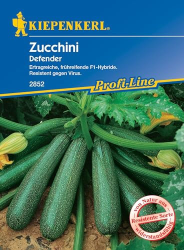 Kiepenkerl Profi-Line Zucchinisamen Defender, F1 2852 - Ertragreich - Resistent - Frühreif - Inhalt für 6 Korn - Gemüsesamen, Samen Gemüse, Saatgut