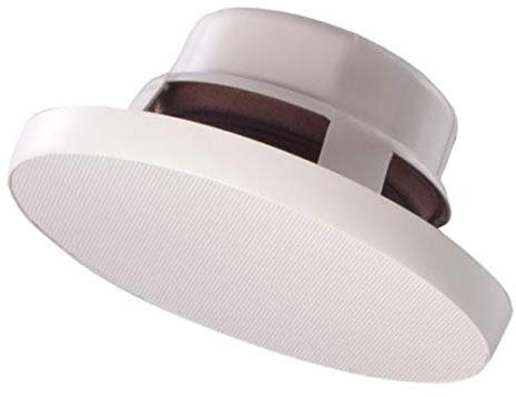 Audac SSP 500 Wasser- und Hitzebeständiger Einbaulautsprecher