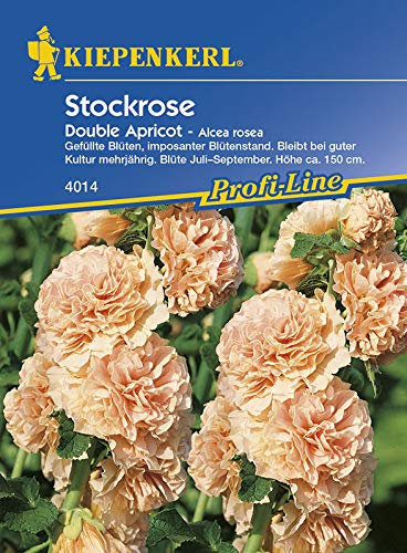 Kiepenkerl 4014 Stockrose Double Apricot (Stockrosensamen)