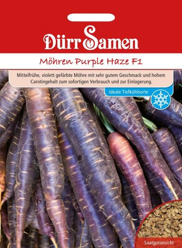 Dürr-Samen - Möhren Purple Haze F1 Saatgut