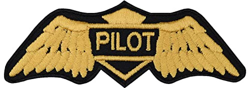 Écusson aile dorée - Pilote armée de l'air américaine.