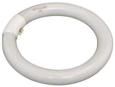 22 W 240 V tubo fluorescente circolare G10q tappo 216 mm diametro