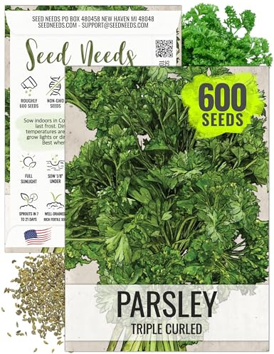 Seed Needs Curly Parsley Seeds to Plant Heirloom Non-GMO Herbs 1 Pack