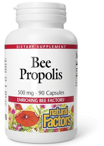 Natural Factors, Bee Propolis Extract 500 mg, Supports a Healthy Immune System, 90 capsules (90 servings)