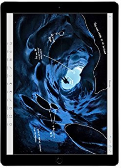 Apple iPad Pro 12.9in Tablet (256GB Wi-FI, Space Gray) (Renewed)