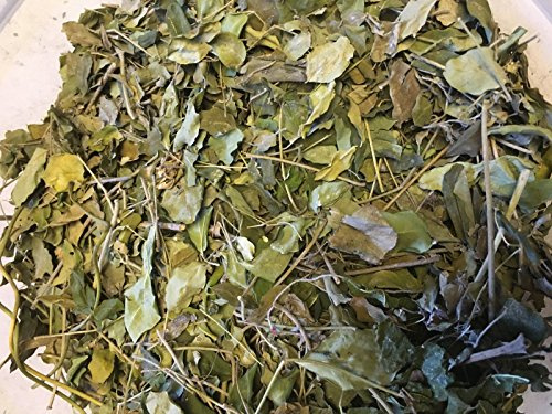 Moringa Leaves - Vitamins + Pure Nutrients - Food for Shrimps, Crabs and Crabs & Co