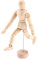Yosoo Gliederpuppen 4,5Künstler Männlichen Holzfigur Modell mit Beweglichen Gliedmaßen für Skizzieren Zeichenhilfe Mannequin Puppe (4,5)