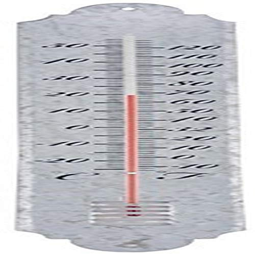 Fallen Fruits Thermomètre en Zinc Ancien 50 cm