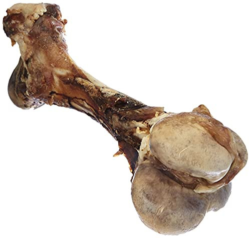 Nobby Rinderknochen XXL, 1 Stück (1800-2300 g), 45-55 cm