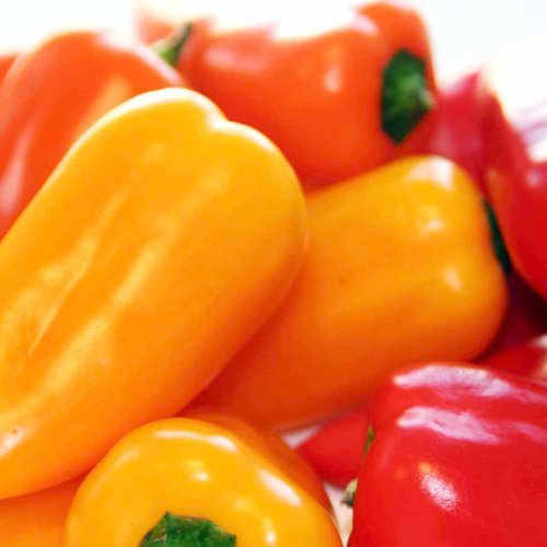 Suttons Seeds 156664 Pepper Sweet F1 Blockie Mix Seed