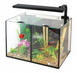 Aqua One Betta Duo Aquarium 20 Litre