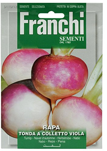 Franchi Turnip Tondo A Colletto Viola