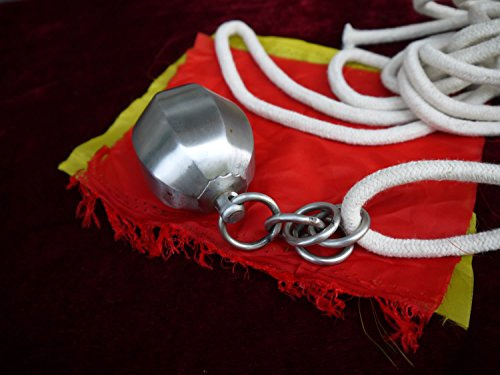 Chinese Wushu Taiji Shaolin Kung Fu Equipment Steel Meteor Hammer
