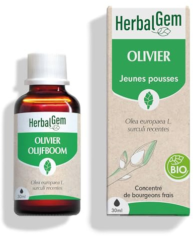 HERBALGEM - Macérât-Mère - Olivier Bio - Complément Alimentaire Gemmothérapie Concentrée - Extrait De Bourgeon Frais - Pour Circulation Sanguine - 30 ml