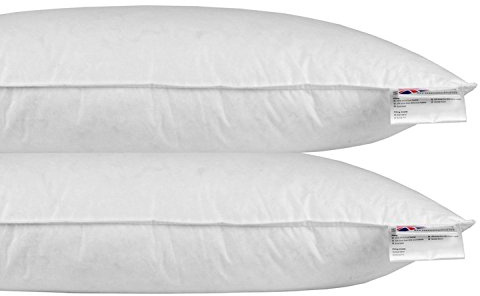 Homescapes – Almohada (Plumas y Plumón de Pato 40 x 80 cm – Juego de 2