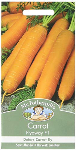 Mr Fothergill's 22481 Vegetable Seeds, Carrot Flyaway F1, Orange