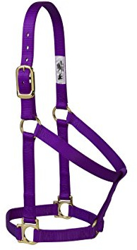 Weaver Equine Nylon Horse Halter, Comfort Double-Ply Webbing, Basic Non Adjustable Halters for Horses, Equine Tack,Average Size, Purple