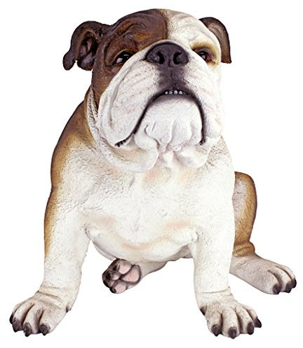 Design Toscano Buster le Bouledogue Statues de Jardin à Décorations Britanniques, 41 cm, polyrésine, palette complète de couleur