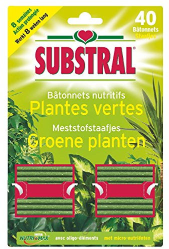 Batonnets nutritifs pour plantes vertes - 40 Batonnets - SUBSTRAL