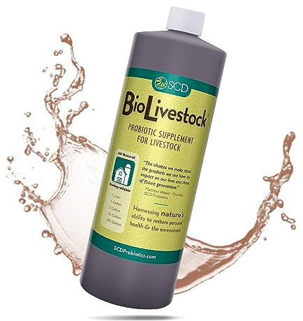 SCD Bio Livestock - Liquid Probiotic Feed & Water Additive, Organic Digestive Supplement for Cows, Pigs, Horses, Chickens, Ducks, Rabbits by SCD Probiotics