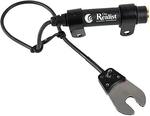 Realist Orchestral String Instrument Part (RLSTLL1)