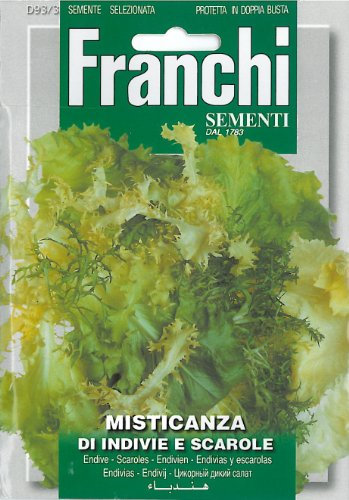 Franchi Mixed Endives and Escarole - Misticanza di Indivie e Scarole (1)