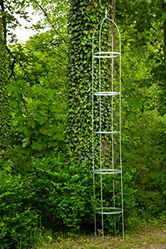 KUHEIGA Rankgerüst Höhe: 300cm hoch, 10mm Volleisen Obelisk Verzinkt Rankhilfe aus Metall