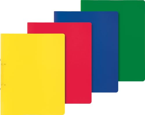 Brunnen Präsentationsringbuch Fact, 2 Bügel, Durchmesser 25 mm, A4, 250 x 315 mm, gelb/rot/blau/grün