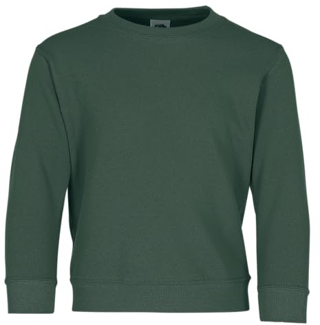 Fruit of the Loom Kids Unisex Classic 80/20 Set-In Sweatshirt (9-11) (Bottle Green)
